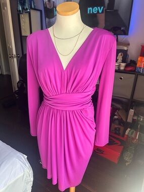 Express Fuchsia Ruched V-Neck Long Sleeve Dress